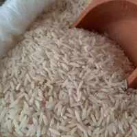 برنج هاشمی و طارم درجه یک عطری و معمولی