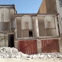 کار حرفه ای