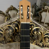 گیتار آواتار مدل Gypsy|گیتار، بیس، امپلیفایر|تهران, فردوس|دیوار