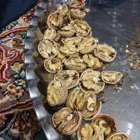 گردو درجه یک تویسرکان