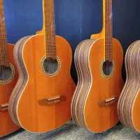 گیتار برای افراد مبتدی|گیتار، بیس، امپلیفایر|ورامین, ورامین|دیوار