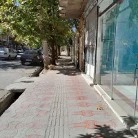 اجاره مغازه|اجارهٔ مغازه و غرفه|الشتر, |دیوار