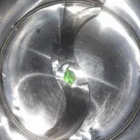 خردکنسبزینوبل|خردکن، آسیاب، غذاساز|اردبیل, |دیوار