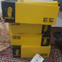 کفش کار