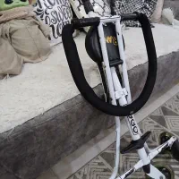 کالسکه رانو