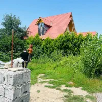 ۲۵۰متری ۳تاانشعابات روزمین باسندوجوازساخت