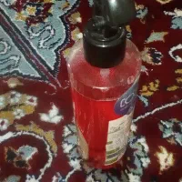 شپش کش خرگوش