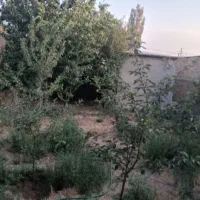 خانه ویلایی روستای قربلاغ ۳۰کیلو زنجان|فروش خانه و ویلا|باغ حلی, |دیوار