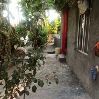 ۹۷۶متر زمین کشاورزی