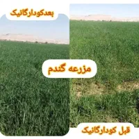 کودهای ارگانیک مادر|گل و گیاه طبیعی|سنندج, |دیوار