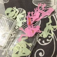 شبرنگ برای اتاق