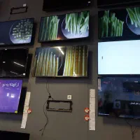 تلویزیون و اسپیکر|تلویزیون و پروژکتور|ایلام, |دیوار