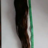 خریدتر مو هستم با بالاترین
