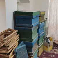 کندوی زنبور عسل