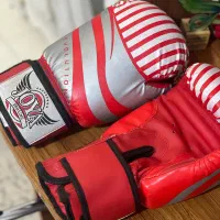 دستکش بوکس نو