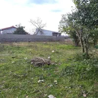 241-متر-زمین-مسکونی-با-قیمت-مناسب-کوچصفهان