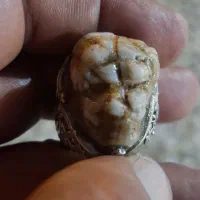 انگشتر سلطانی