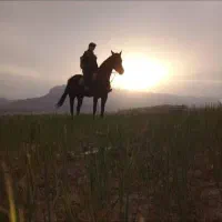 مادیان دیدنی