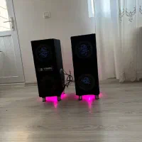 باند خانگی دو قلو