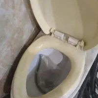 توالت فرنگی