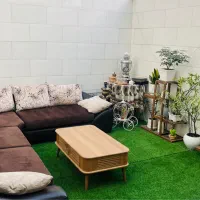 میز جلو مبلی