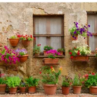 رهن و اجاره