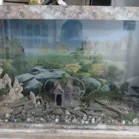 اکواریوم تمیزمرتب سالم بفروشدمیرسد|ماهی|مشهد, امیر المومنین|دیوار