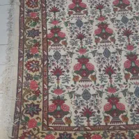 زرع نیم گل گلدونی ورامین