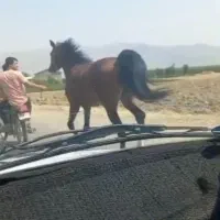 نریان کره سلطان خانی