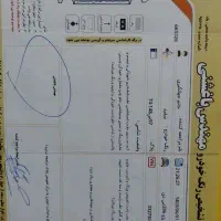 پژو 206 SD V8 مدل 1390|خودرو سواری و وانت|مشهد, دانشجو|دیوار