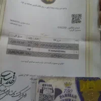 سکه ۲۵۰ سوت زیر قیمت پول لازم