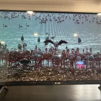 تلوزیون با ابعاد ۲۶ تا ۴۹ مخصوص (دوربین و باغ)|تلویزیون و پروژکتور|اصفهان, خلجا|دیوار