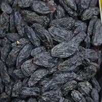 مویز عسکری،ریش بابا،سیاه ،اب غوره امسال تمیز