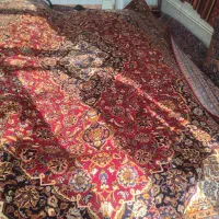 فرش ۱۴متری دستبافت آذرایپک|فرش|آذرشهر, |دیوار