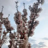 فروش زمین ۲۰۰۰ متری