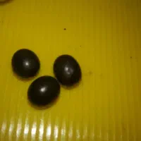 اشیای زیر خاکی|کلکسیون سکه، تمبر، اسکناس|تهران, تهرانپارس جنوبی|دیوار