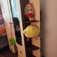 تخت وکمد|تخت و سرویس خواب|تنکابن, |دیوار