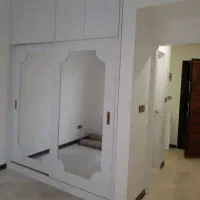 دو لنگ در ریلی کمد دیواری