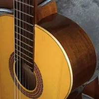 گیتار کلاسیک آنتونیو آپاراسیو مدل AA15|گیتار، بیس، امپلیفایر|رشت, گلسار|دیوار