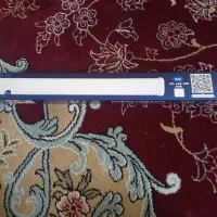 لامپ اف بی ال، طوطی