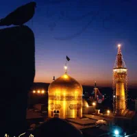 راهنمایی لطفا کنید