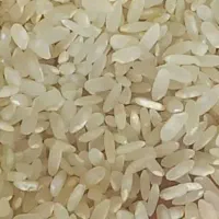 برنج کامفیروز بشرط پخت