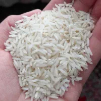 برنج درجه ۱ کاشت خودم