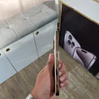 اپل iPhone 13 Pro Max با حافظهٔ 256 گیگابایت|موبایل|شهرکرد, |دیوار