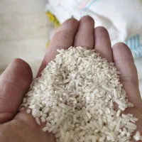 سرلاشه طارم هاشمی فوق العاده