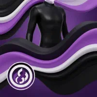 به یک طراح سایت وردپرسی مسلط و مسئولیت‌پذیر