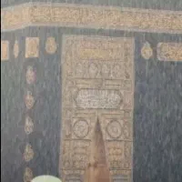 فروش 2عدد فیش عمره