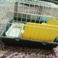 قفس خرگوش با لوازم جانبی در حد نو|لوازم جانبی حیوانات|تهران, جوادیه تهرانپارس|دیوار