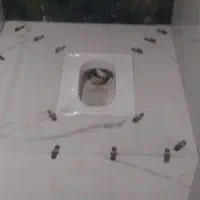 بازسازی گچکاری.کاشی.سرامیک سنگ وسیمان.غیر|خدمات پیشه و مهارت|تهران, بنیهاشم|دیوار