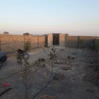 باغ و باغچه بنا و سرویس بهداشتی کوچه ۶ متری|فروش زمین و ملک کلنگی|رباط‌کریم, پیغمبر|دیوار
